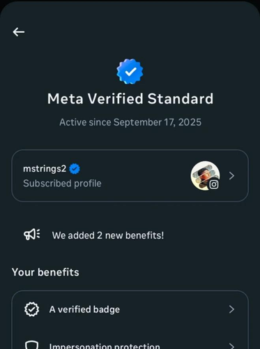 Meta Verified Cost