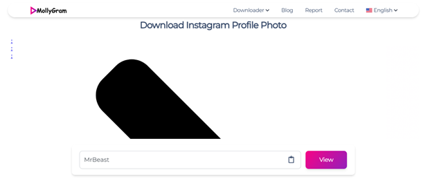 Go to MollyGram in your browser