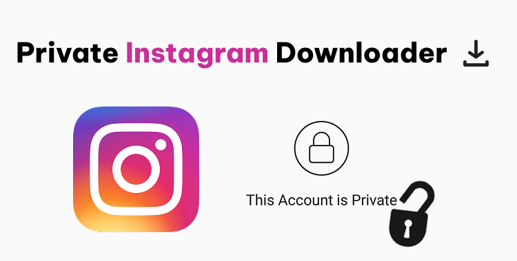 private instagram downloader free online tool
