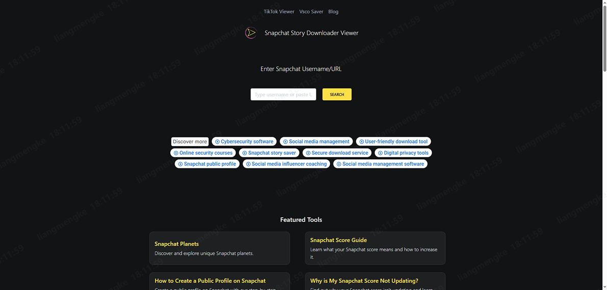 snapchat story viewer