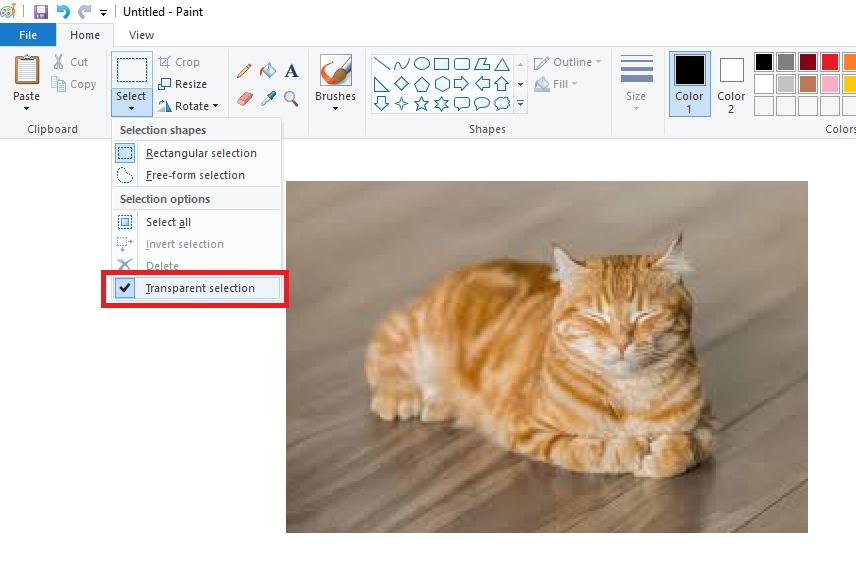 how to make background transparent in paint step 2