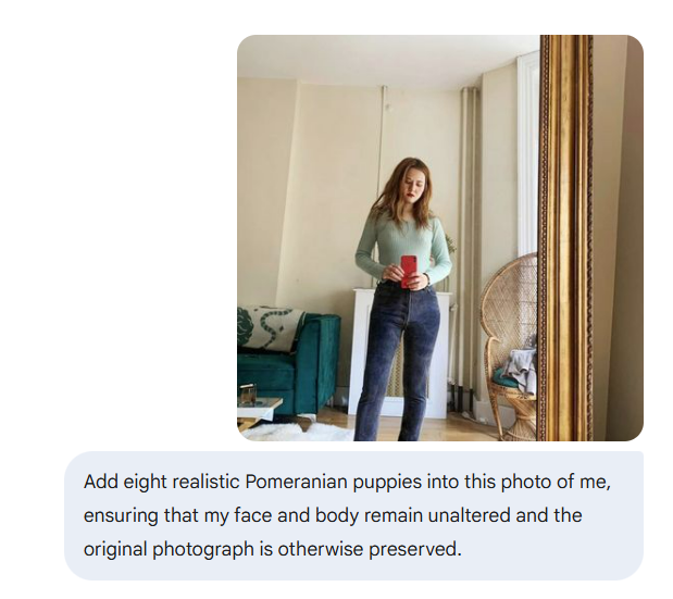 Paste This Prompt Into Gemini