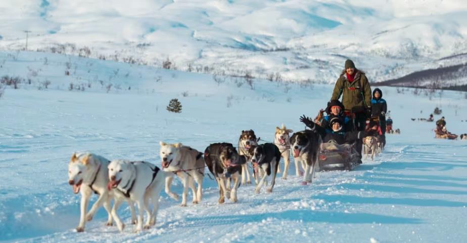 hundeschlittenfahren troms