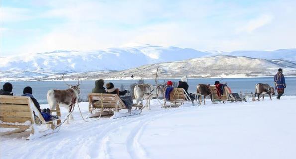sami rentier erlebnis troms