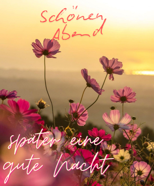 schönen donnerstag abend bilder whatsapp kostenlos