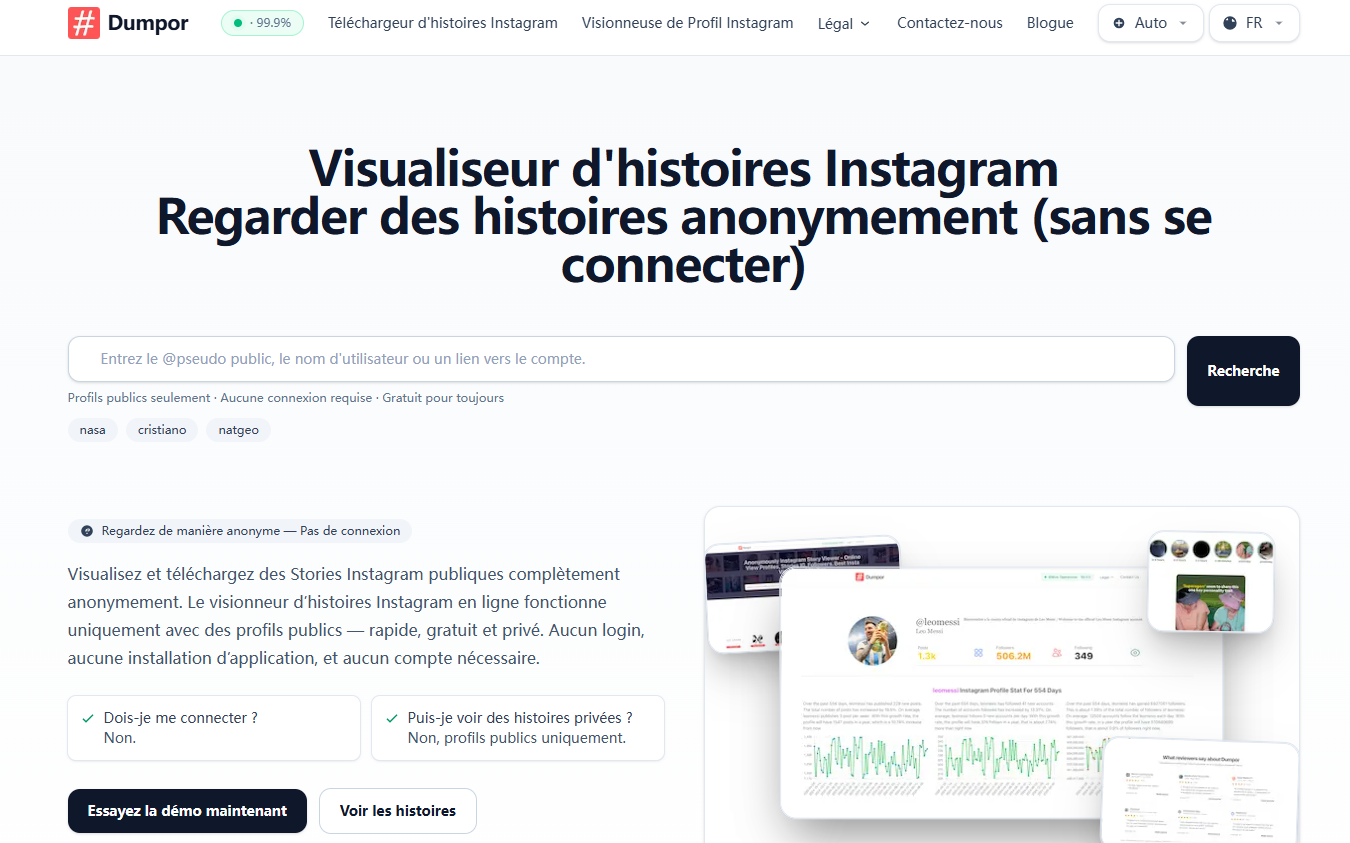 voir story instagram anonyme