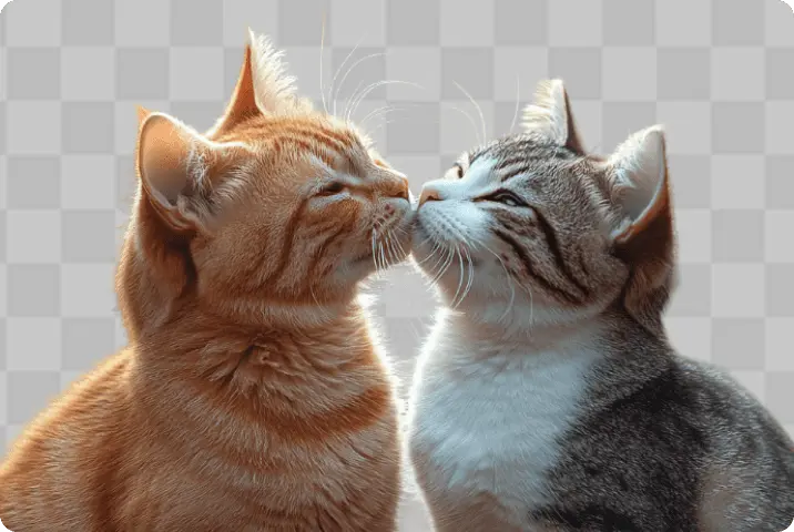 remove bg animals