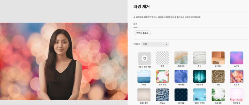 사진 배경 제거