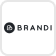 BRANDI 브랜디