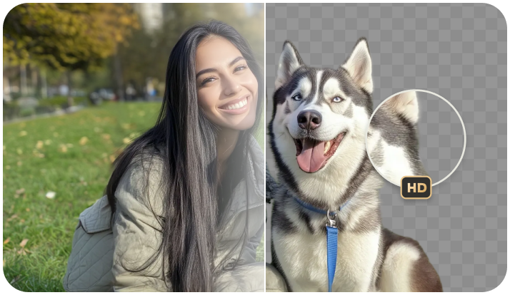 pixpretty background remover