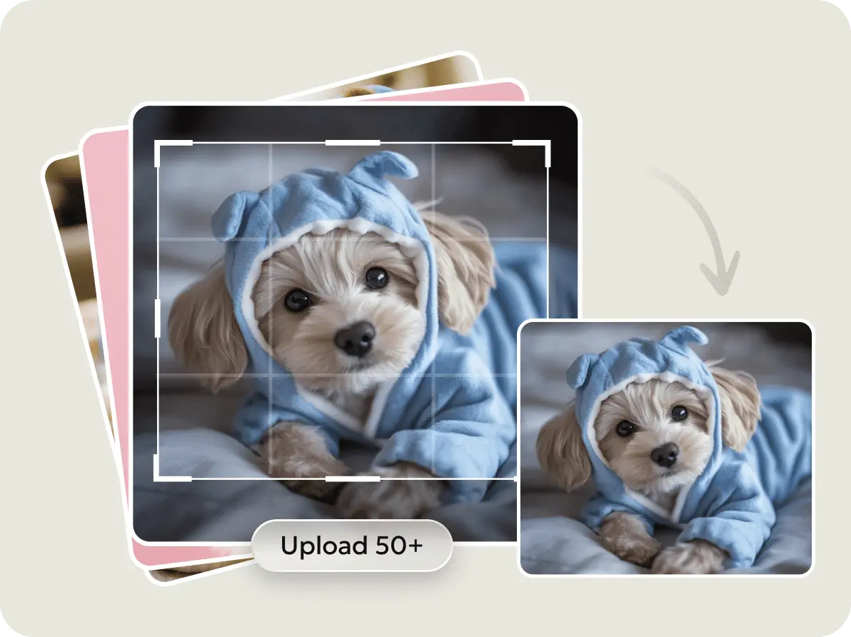 how to edit picture size