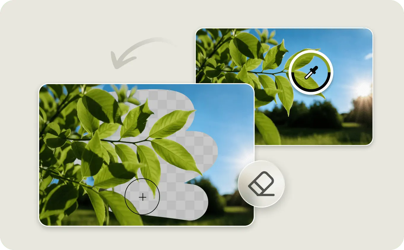 background eraser online for better details