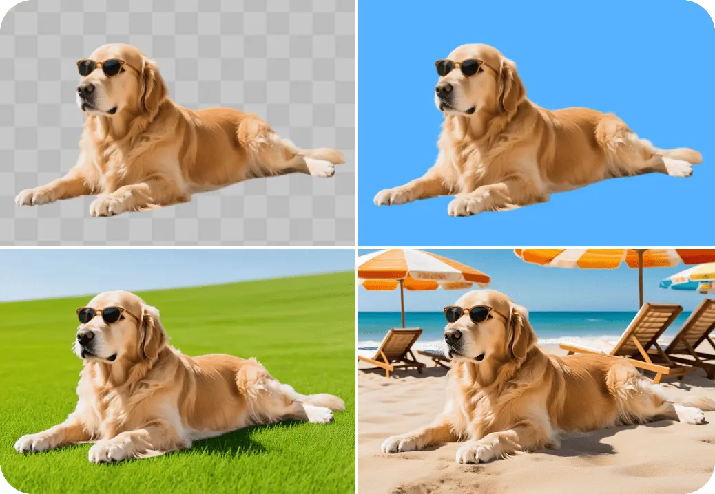 change background of animal photo online free