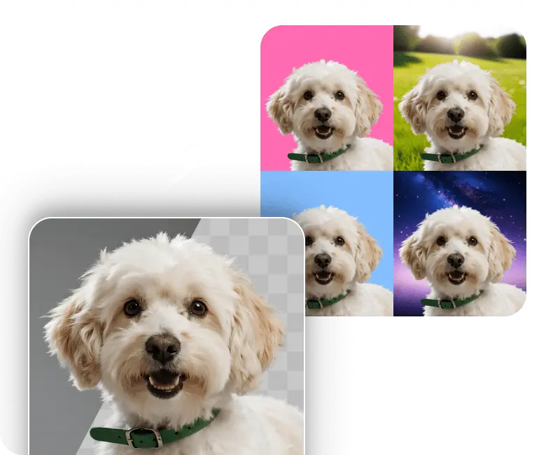 photo background change for Creative Projects