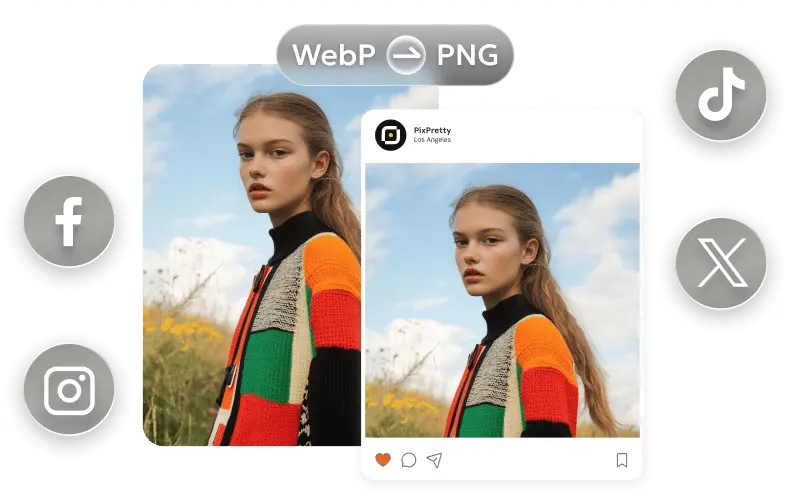 WebP to PNG Converter for social media manager