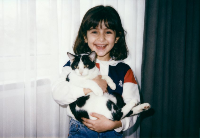 gemini kedi fotoğraf prompt