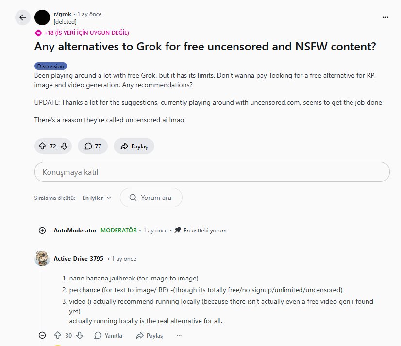 Grok İçin Ücretsiz, Sansürsüz ve NSFW Alternatifler