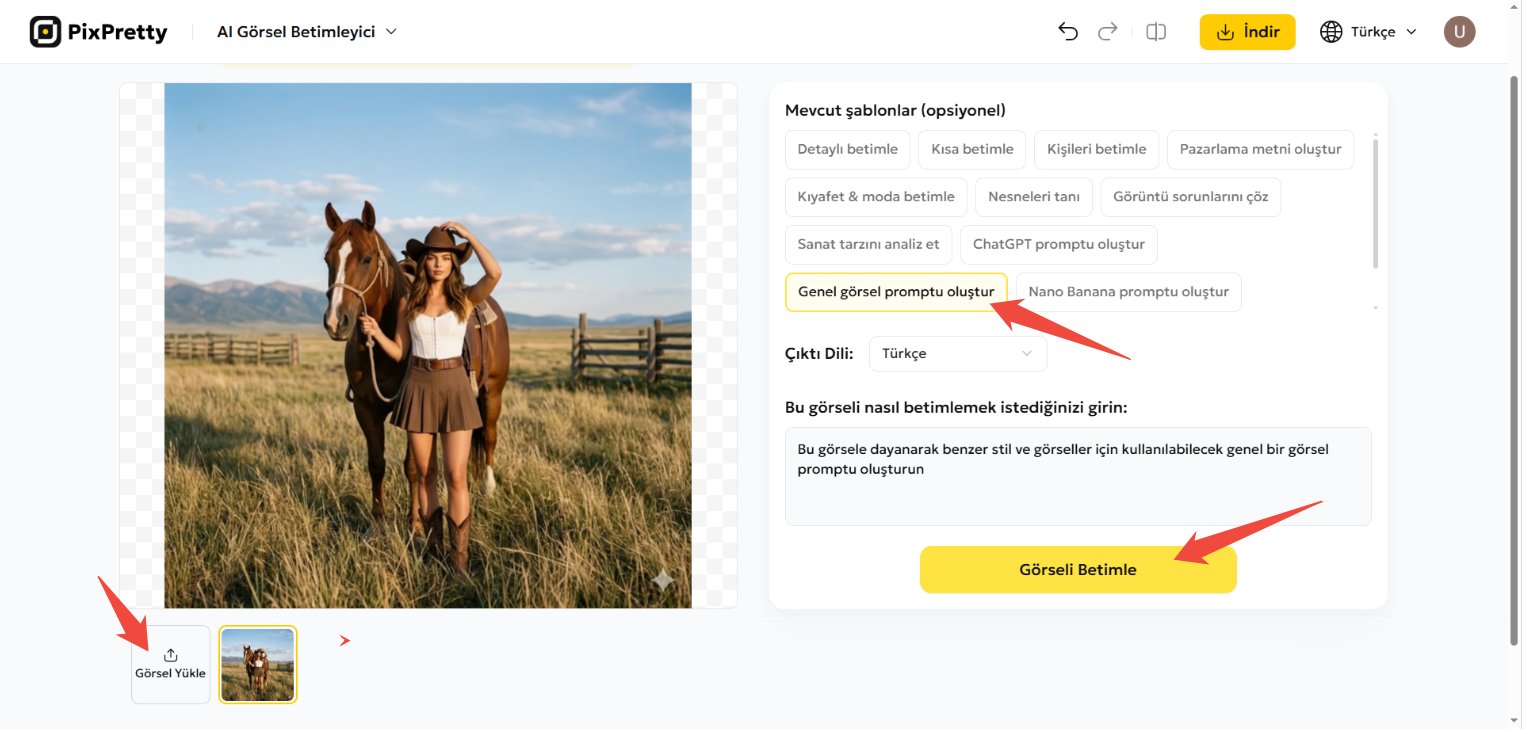 pixpretty kovboy fotoğraftan gemini prompt oluşturma
