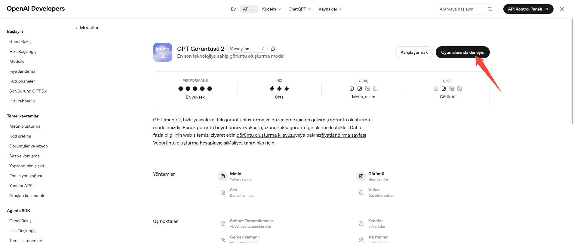 OpenAI API Üzerinden Erişim