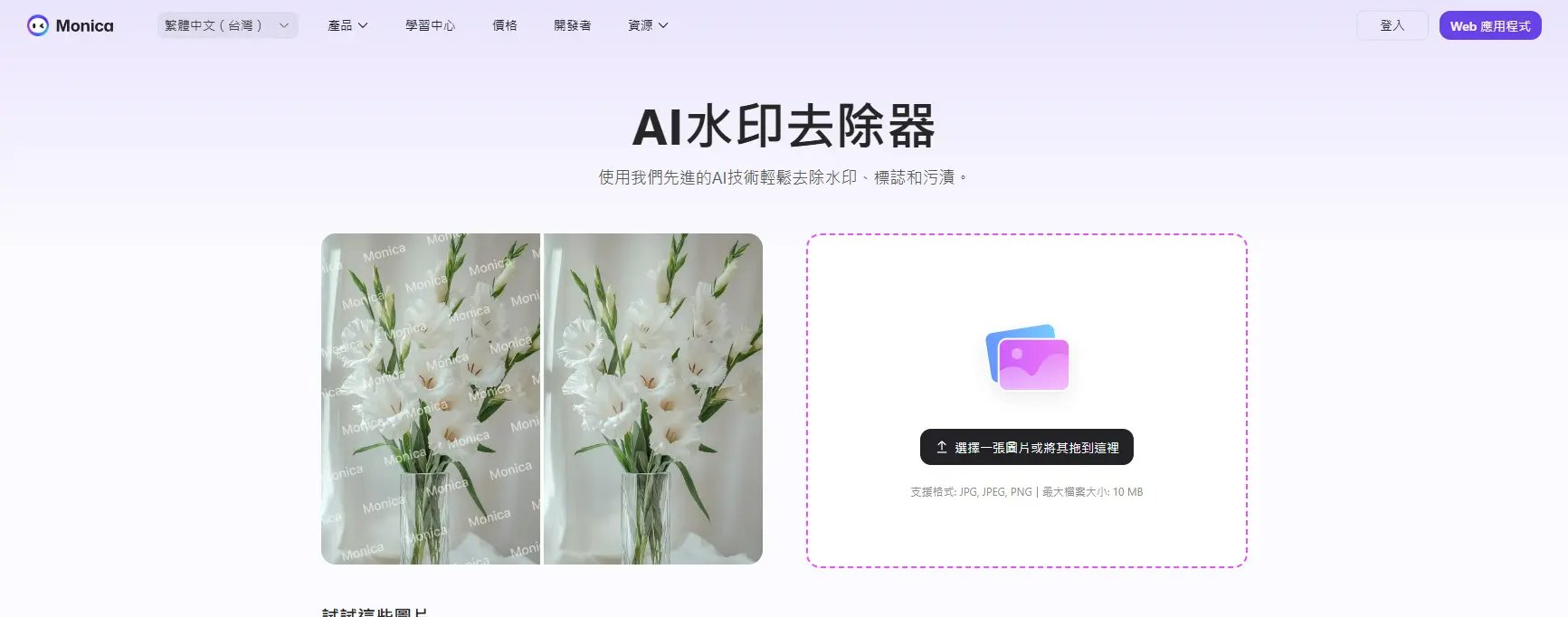 進階 AI Gemini 浮水印移除工具