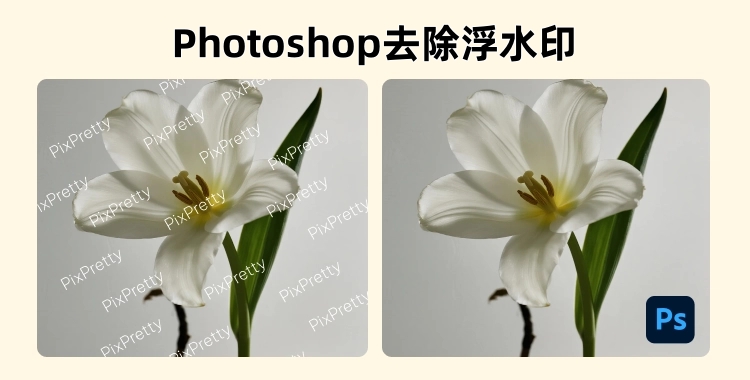 Photoshop 去浮水印